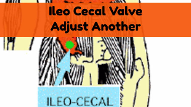 Ileo Cecal Valve On Another